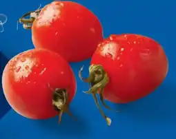 Lidl Cocktailstrauchtomaten Angebot