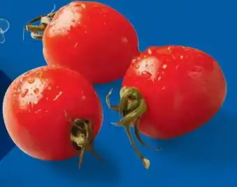 Lidl Cocktailstrauchtomaten Angebot