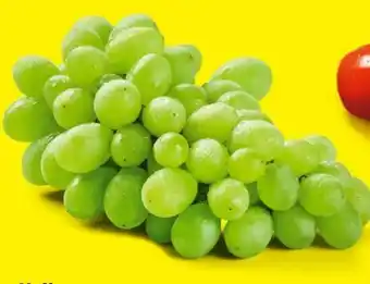 Lidl Trauben Angebot