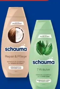 Aldi Süd Schwarzkopf Schauma Shampoo Angebot