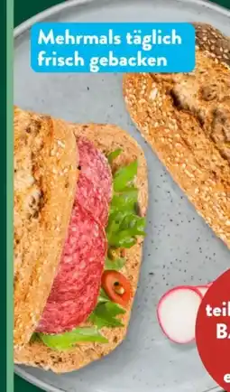 Aldi Süd Nur Natur Bio-Dinkelvollkorn-Krusti Angebot