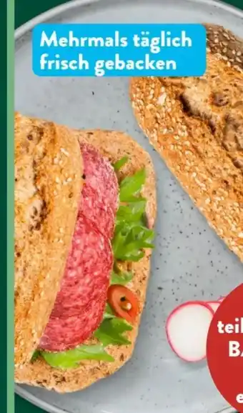 Aldi Süd Nur Natur Bio-Dinkelvollkorn-Krusti Angebot