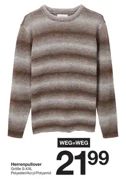 Zeeman Herrenpullover Angebot
