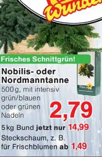 Wiglo Wunderland Fri Nordmanntanne Angebot