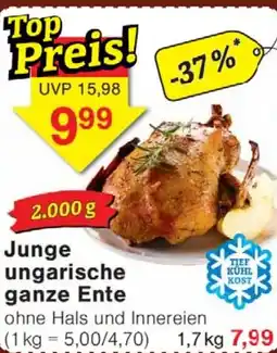 Wiglo Wunderland Junge ungarische ganze Ente Angebot