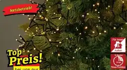 Wiglo Wunderland 600er LED-Büschel-/ Cluster- Lichterkette* Angebot