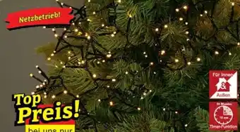 Wiglo Wunderland 600er LED-Büschel-/ Cluster- Lichterkette* Angebot