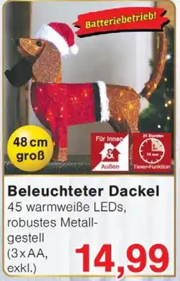 Wiglo Wunderland Beleuchteter Dackel Angebot