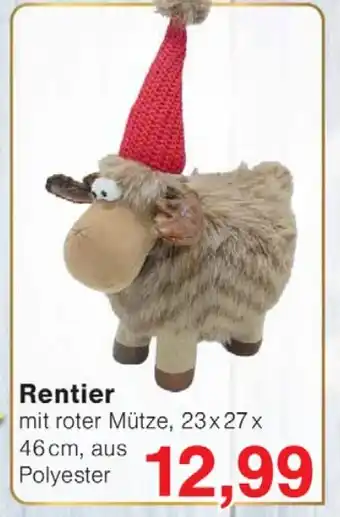 Wiglo Wunderland Rentier Angebot