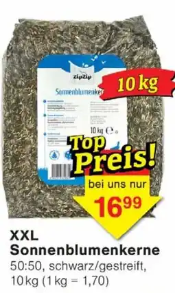 Wiglo Wunderland XXL Sonnenblumenkerne Angebot
