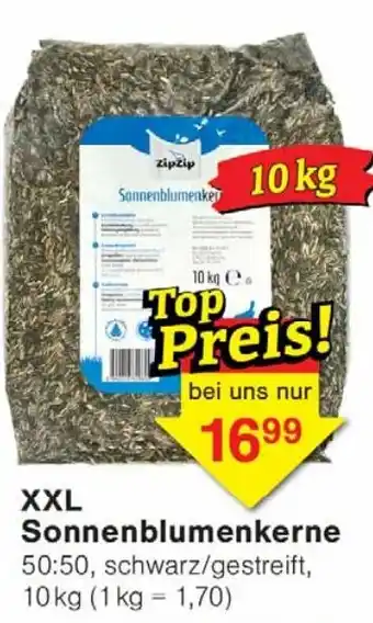 Wiglo Wunderland XXL Sonnenblumenkerne Angebot