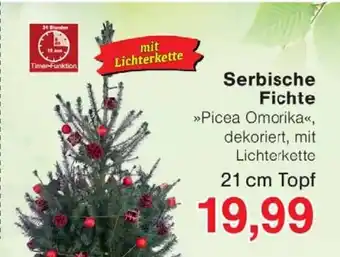 Wiglo Wunderland Serbische Fichte Angebot