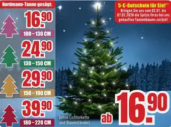 B1 Discount Baumarkt Nordmann-Tanne Angebot