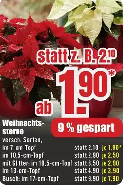 B1 Discount Baumarkt Weihnachtssterne Angebot
