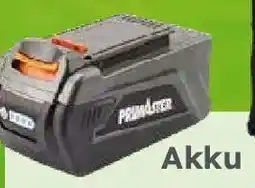 Globus Baumarkt PRIMASTER Akku 40 Volt 2,0 Ah Angebot
