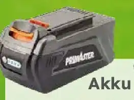 Globus Baumarkt PRIMASTER Akku 40 Volt 4,0 Ah Angebot