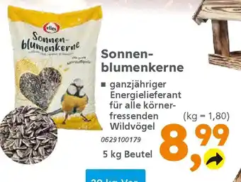 Globus Baumarkt elles Sonnen- blumenkerne Angebot
