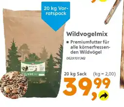 Globus Baumarkt Wildvogelmix Angebot