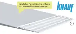 BayWa Knauf Gipskartonplatte Angebot