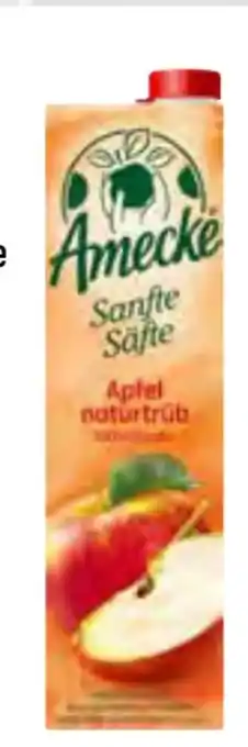 trinkgut Amecke Fruchtsaft Angebot