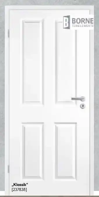 BayWa Borne Zimmertür Klassik Angebot