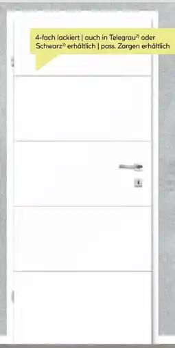 BayWa Zimmertür Sylt Angebot