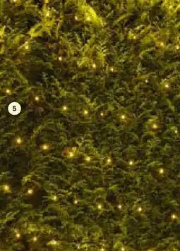 BayWa Weihnachts LED-Lichternetz Angebot