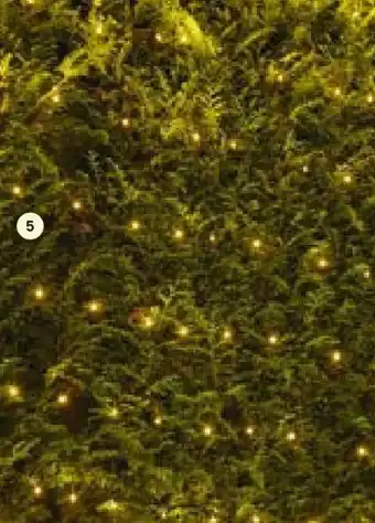 BayWa Weihnachts LED-Lichternetz Angebot