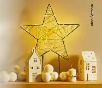 BayWa LED-Metallsterne Angebot