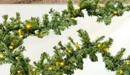 BayWa Weihnachts Künstliche Tannengirlande Angebot