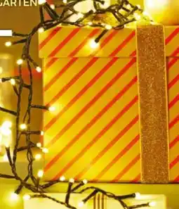 BayWa LED-Lichterkette Snake Lights Angebot