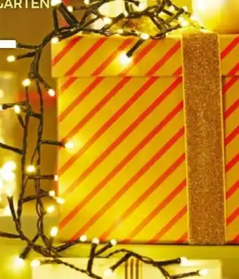 BayWa LED-Lichterkette Snake Lights Angebot