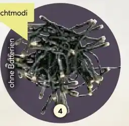 BayWa Weihnachts LED-Lichterketten Angebot