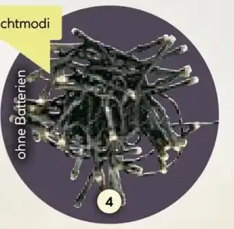 BayWa Weihnachts LED-Lichterketten Angebot