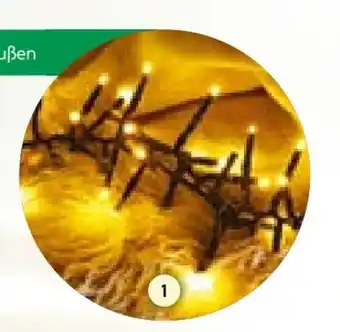 BayWa Cluster Lichterkette Angebot