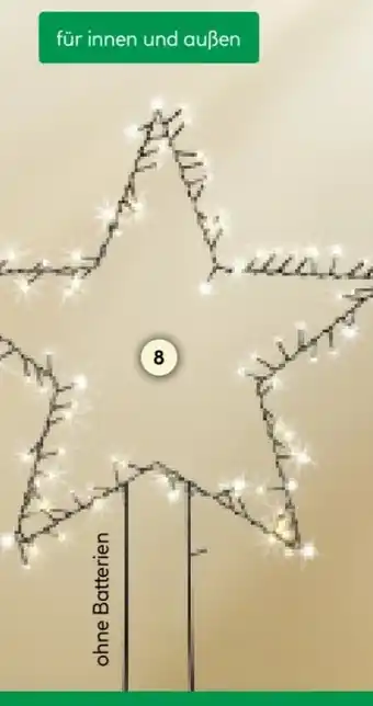 BayWa Weihnachts Gartenstecker Stern Angebot