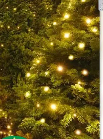 BayWa LED-Sterne Angebot