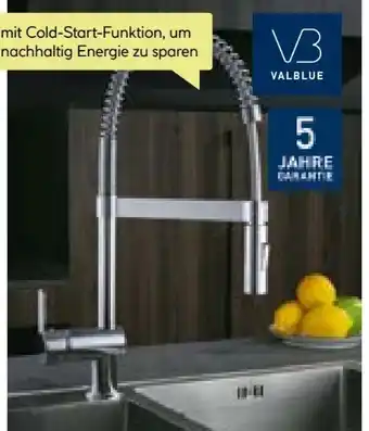 BayWa Valblue Spültischarmatur Namur Angebot