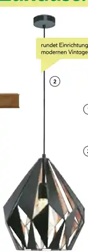 BayWa Eglo Pendelleuchte Carlton Angebot