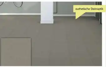 BayWa Feinsteinzeug Triton Angebot