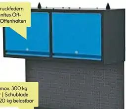 BayWa Güde Wandschrank GWS 2T Angebot