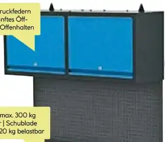 BayWa Güde Wandschrank GWS 2T Angebot