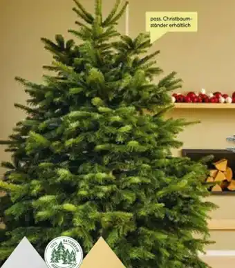 BayWa Nordmanntannen Angebot