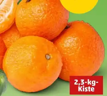 PENNY XXL Clementinen Angebot
