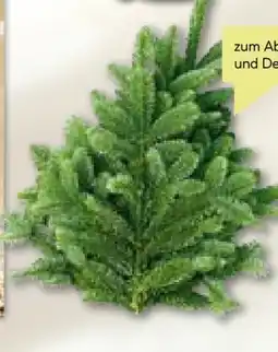 BayWa Weihnachts Tannenzweige Angebot