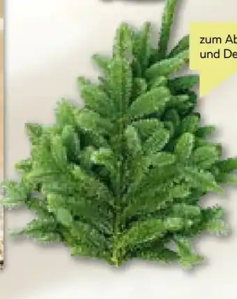 BayWa Weihnachts Tannenzweige Angebot