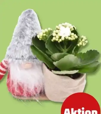 PENNY Weihnachtswichtel Angebot