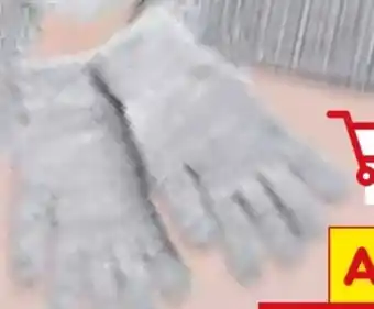 Netto Marken-Discount Spirit of Colours Damen Handschuhe Angebot