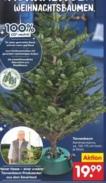 Netto Marken-Discount Tannenbäume Angebot