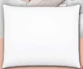 PENNY Emma Essentials Kopfkissen Angebot